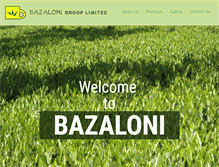 Tablet Screenshot of bazaloni.com